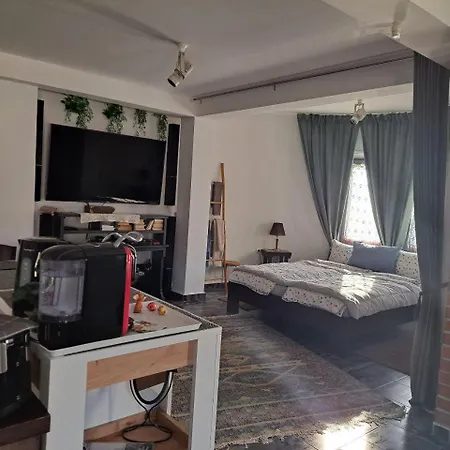 Gnezdo Apartament Szipka