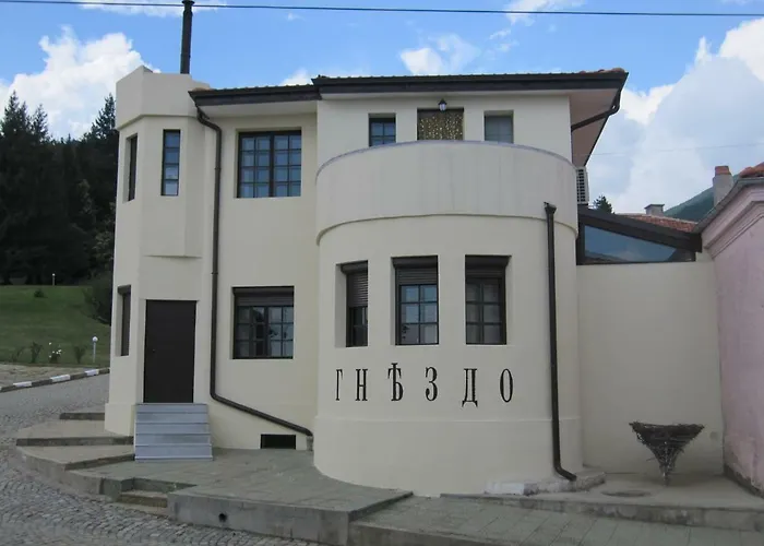 Gnezdo *